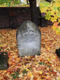image of grave number 556380